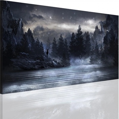 Divio Obraz na plátně noc, vzor 41098 Velikost: 30x60 cm