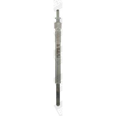 Żeraviaca sviečka BorgWarner (BERU) GN047