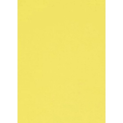 EFCO Pěnovka Moosgummi 50x70cm (1ks) žlutá