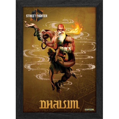 Pixel Frames PLAX Street Fighter 6: Dhalsim 25x30