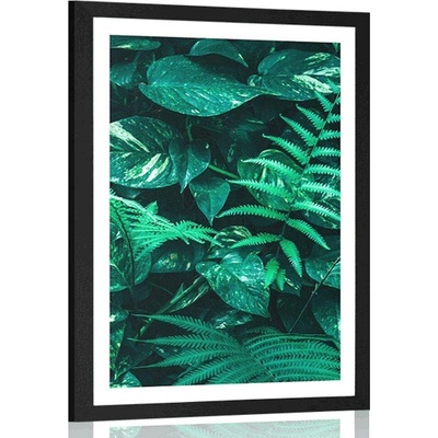 Plakát s paspartou svěží tropické listy - 30x45 silver