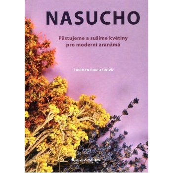 Nasucho