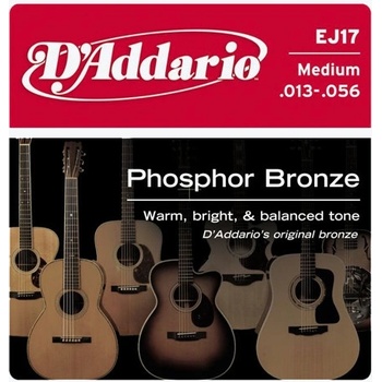 DAddario EJ17