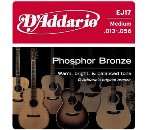 DAddario EJ17