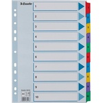 ESSELTE Регистър ESSELTE Mylar A/4 ламиниран картон 1-10 100161 (100161)