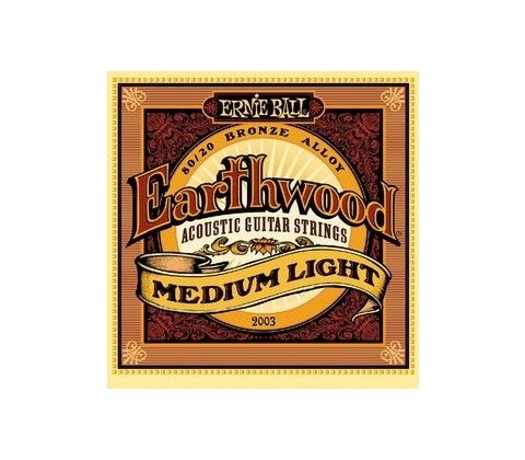 Ernie Ball 2003