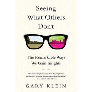 Seeing What Others Don't | Gary Klein (ISBN: 9781610393829)