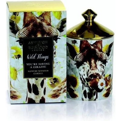 Ashleigh & Burwood Wild Things You're Having A Giraffe 320 g