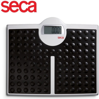 Seca 813 Bluetooth