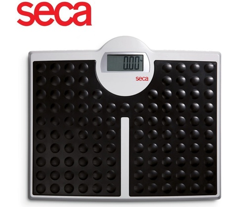 Seca 813 Bluetooth