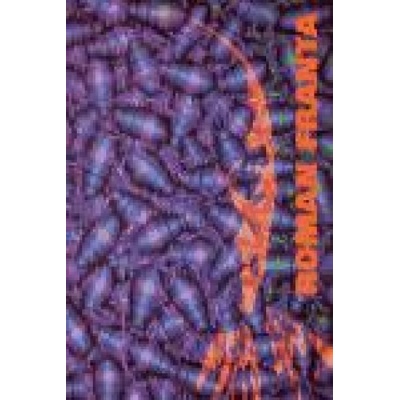 Obrazy / Paintings 1996-1999 - Roman Franta