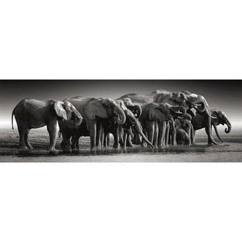 Clementoni - Puzzle Herd of Giants panorama - 1 000 piese