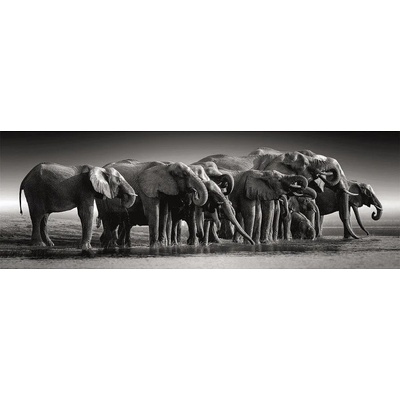 Clementoni - Puzzle Herd of Giants panorama - 1 000 piese