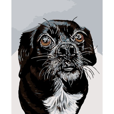 ZUTY Malování podle čísel - ČERNOBÍLÝ OŘÍŠEK Rozměr: 80 x 100 cm, Rámování: bez rámu a bez vypnutí plátna