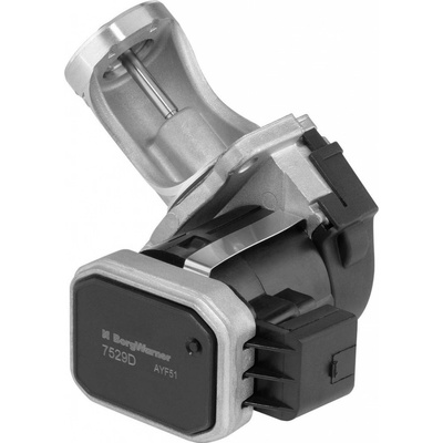AGR - Ventil BORGWARNER 7529D
