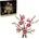 LEGO® The Botanical Collection - Magnolia Branches (11510)