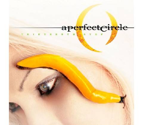 PERFECT CIRCLE: THIRTEENTH STEP CD
