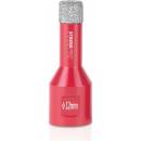Strend Pro 226234