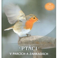 Ptáci v parcích a zahradách