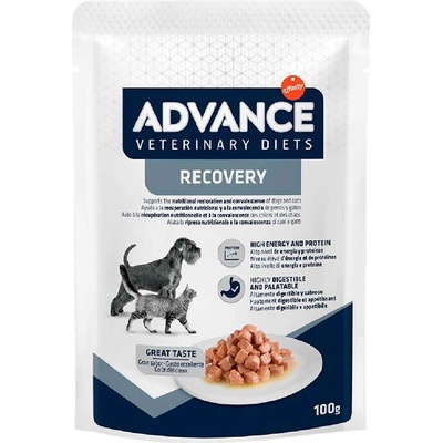Advance Recovery 100 g