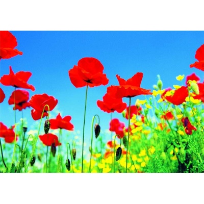 W+G 283 Papírová 8 dílná fototapeta Poppy Field, rozměry 366 x 254 cm