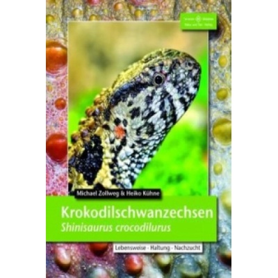 Krokodilschwanzechsen