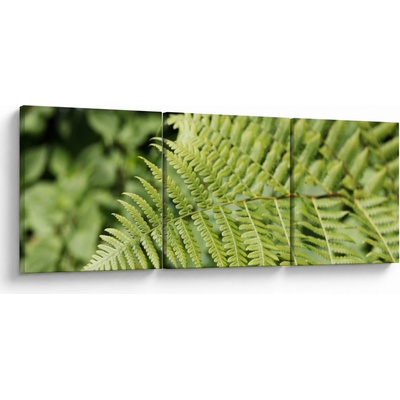Obraz - Kapradinový list, třídílný 120x40 cm – Hledejceny.cz