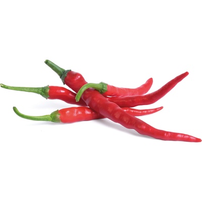 Veritable Вложка за семена Lingot мини зеленчуци лют червен пипер (VLIN-L5-Pim018)