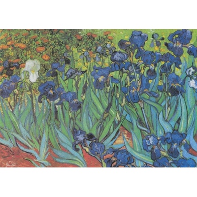 Grafika Vincent Van Gogh 1889 1000 dielov