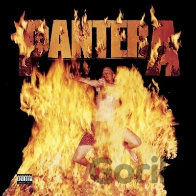 PANTERA - REINVENTING THE STEEL LP