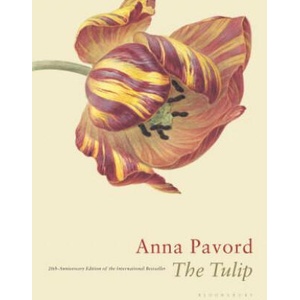 The Tulip: Twentieth Anniversary Edition | Anna Pavord (ISBN: 9781635573909)
