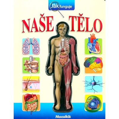 Naše tělo