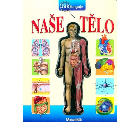 Naše tělo