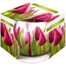 BISPOL Tulipán 100g