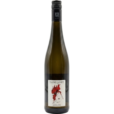 Toni Jost Ryzlink rýnský suché bílé 2023 12,5% 0,75 l (holá láhev)
