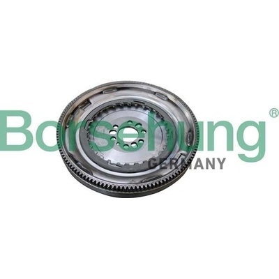 Zotrvačník Borsehung B10919 B10919