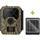 OXE Hornet 4G