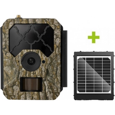 OXE Hornet 4G