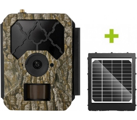 OXE Hornet 4G