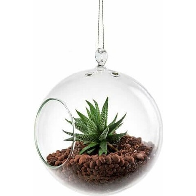 DT GLASS Závěsná silnostěnná skleněná koule pro rostlinu - AERÁRIUM – Zbozi.Blesk.cz