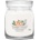 Yankee Candle White Spruce & Grapefruit подписана свещ средна 368 гр