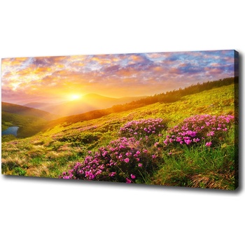 Foto obraz na plátne do obývačky Západ slnka hory 100x50 cm