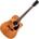 Pasadena PDC-450E All Solid Vintage Natural Електро-акустична китара Дреднаут