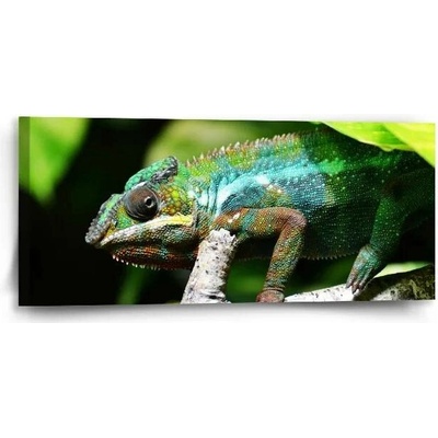 Sablio Obraz Chameleon - 110x50 cm