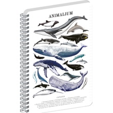 NOTIQUE Špirálový blok Animalium Pod morom linajkovaný A4