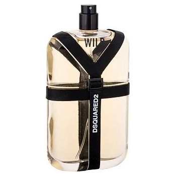 Dsquared2 Wild Toaletná voda pánska 100 ml Tester