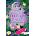 Anime elettriche. Love me love me