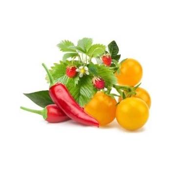 Click and Grow Mix ovocia a zeleniny, kapsule so semienkami a substrátom 9 ks