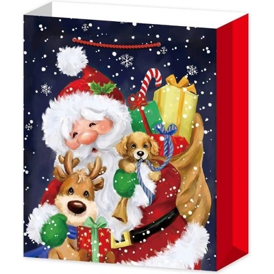 Raya Toys 3D Подаръчна торбичка Raya Toys Дядо Коледа, 70 см