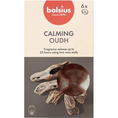 Bolsius vonné vosky Dřevo 6 ks